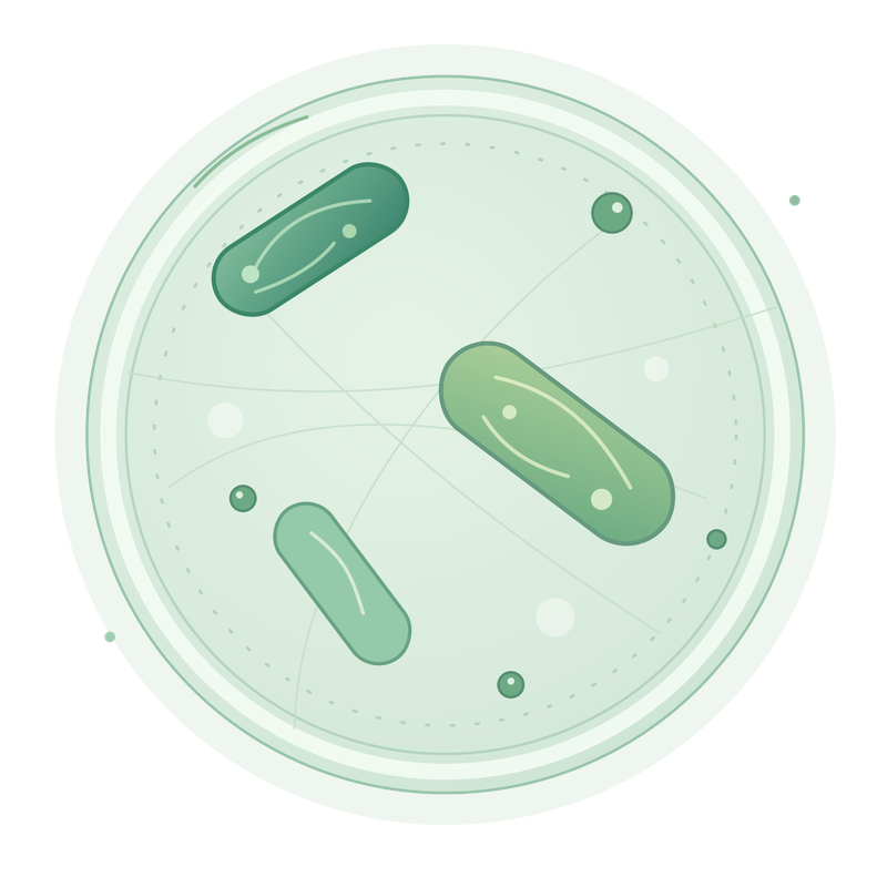 Illustration of a petri dish with rod-shaped bacteria